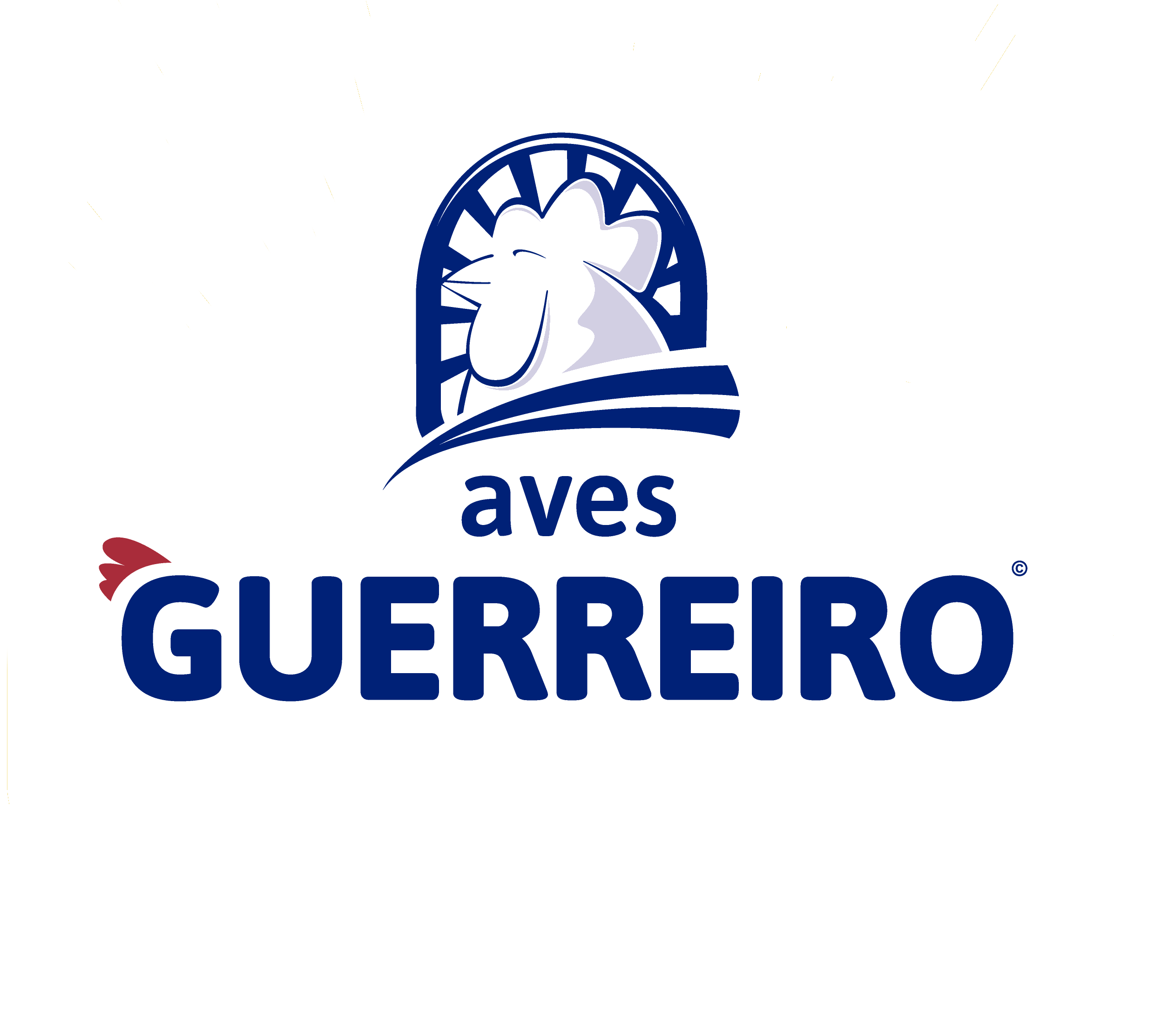 AVES GUERREIRO logo